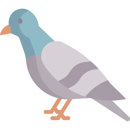 Dépigeonnisation